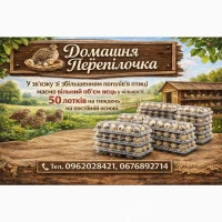 Продам Перепелині яйця