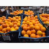 Продам мандарин Турція