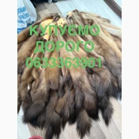 Купуємо шкіри куниці бобра кролика зайця