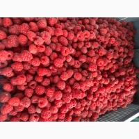 Куплю Малину Черкаська область