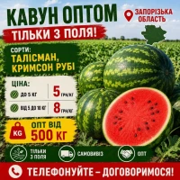 Кавун оптом з поля