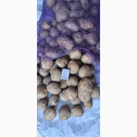 Продам картоплю продовольчу