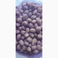Продам картоплю продовольчу