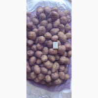 Продам картоплю продовольчу