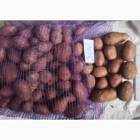 Продам картоплю продовольчу