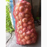 Продам цибулю сорт Штутгарт