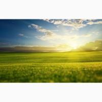 Нитроаммофоска 16:16:16, Аммофос N:P 12:52, Селитра, Карбамид, КАС-32