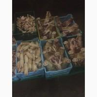 Продам свинину в полутушах