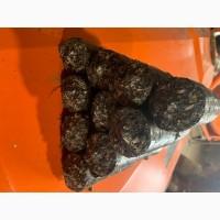 Продам пеллету из лузги подсолнуха