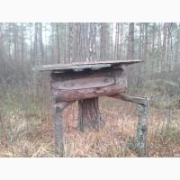 Мед диких бджіл, бортевий мед