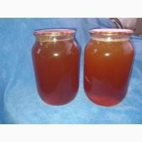 Мед диких бджіл, бортевий мед