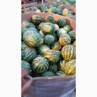 Продам Кавун/не дорого/Київ/2 КАТКА