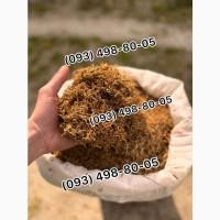 Ксанті Золоте Руно Голд Берлі Вірджинія Махорка Дюбек Гавана Парламент Кентукі