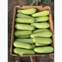Продам кабачки