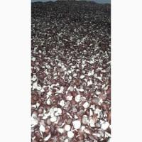 Продам плоди кінського каштану цьогорічні, сухі, дроблені