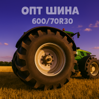 600/70r30 Michelin