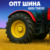 600/70r30 Michelin
