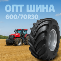 600/70r30 Michelin