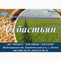 Насіння ярого ячменю Сєбастьян, СН-1