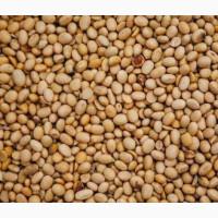 Купуємо половинки сої з господарств