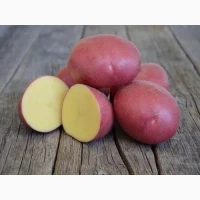 Закуповую картоплю