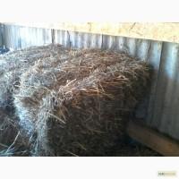 Продам тюки конюшини