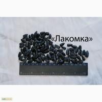 Семена кондитерского подсолнечника сорта Лакомка от производителя