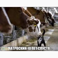 Предприятие покупает фермерское молоко с НДС и молоко от населения у ЧП постоянно