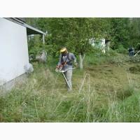 Покос травы Покосить траву Уборка участка