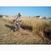 Покос травы Покосить траву Уборка участка