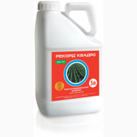 Продам Рекорд Квадро