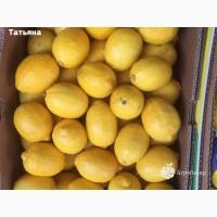 Продам лимон сорт Турция доставка по городу