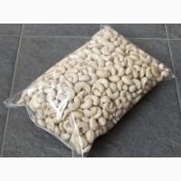 Cashew Nut