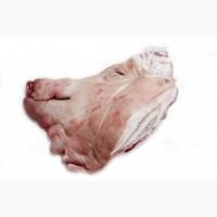 Куплю оптом субпродукти свинні та яловичі ( ноги вуха, рубець і т.д)