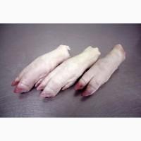 Куплю оптом субпродукти свинні та яловичі ( ноги вуха, рубець і т.д)