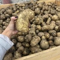 Продажа соціальної картоплі