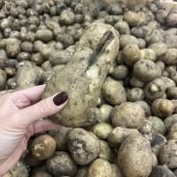 Продажа соціальної картоплі