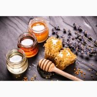 Куплю мед сортовой и разнотравье, без подсолнуха