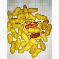 Арахис Жаренный в скорлупе
