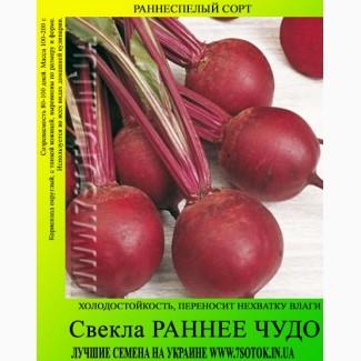 Семена свеклы «Раннее Чудо», высокая всхожесть