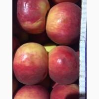 Продам яблоко разных сортов. Киев. Опт