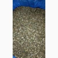 Продам махорку самосад
