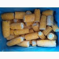 Шоковая заморозка продукции. Малин Фектори