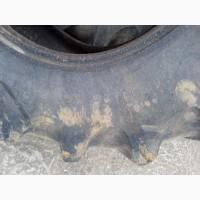 Бу шины на JCB комплект 18.4-26 Cultor и 400/70-20 (16.70-20) Mitas