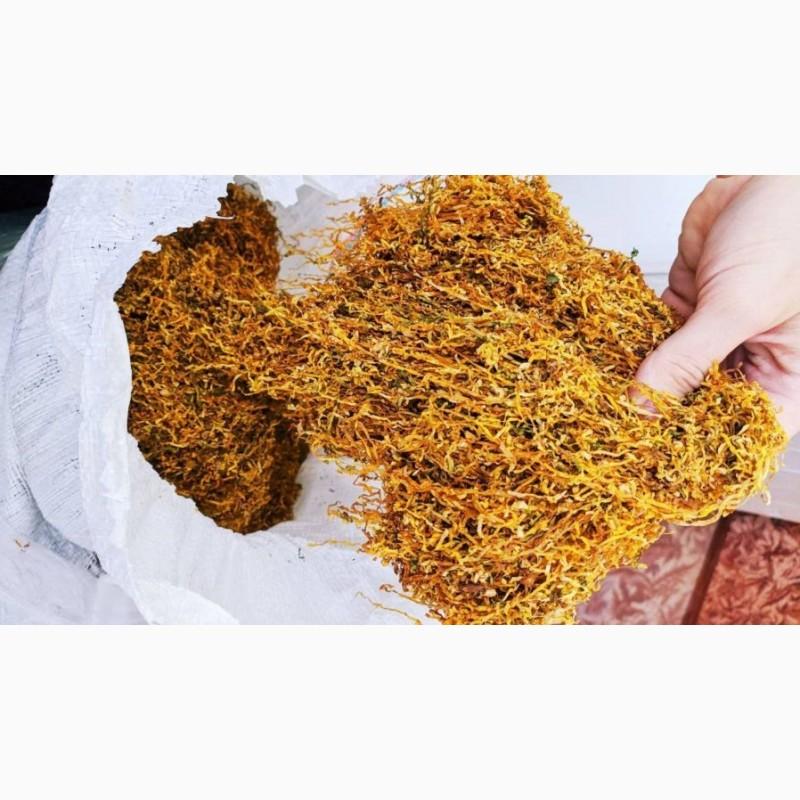 Фото 4. Вже є свіжачок табачок після ферментації запашний