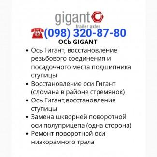 Техническое обслуживание и ремонт прицепов и полуприцепов, ремонт осиBPW, SAF