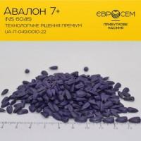Продам Соняшник Авалон-, Тор, Пегас фракція Преміум
