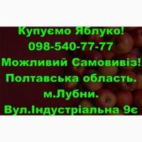 На постійній основі закуповуємо яблуко врожаю 2024року!Дорого