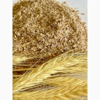 Продам висівки пшеничні пушні (насип/мішки)