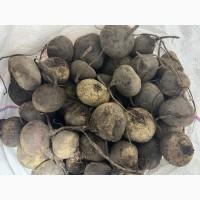 Продам буряк 2 сорт